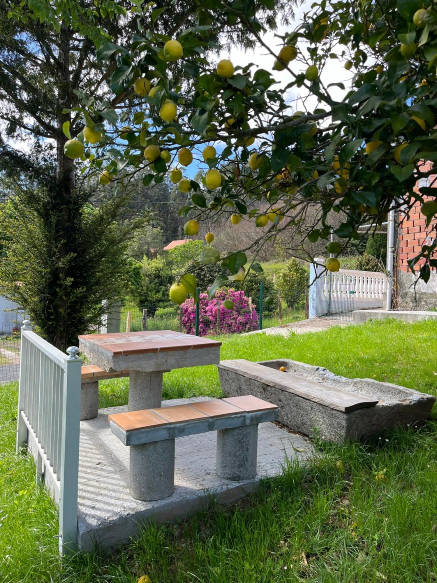 Willa Casa Marina San Martín Zewnętrze zdjęcie